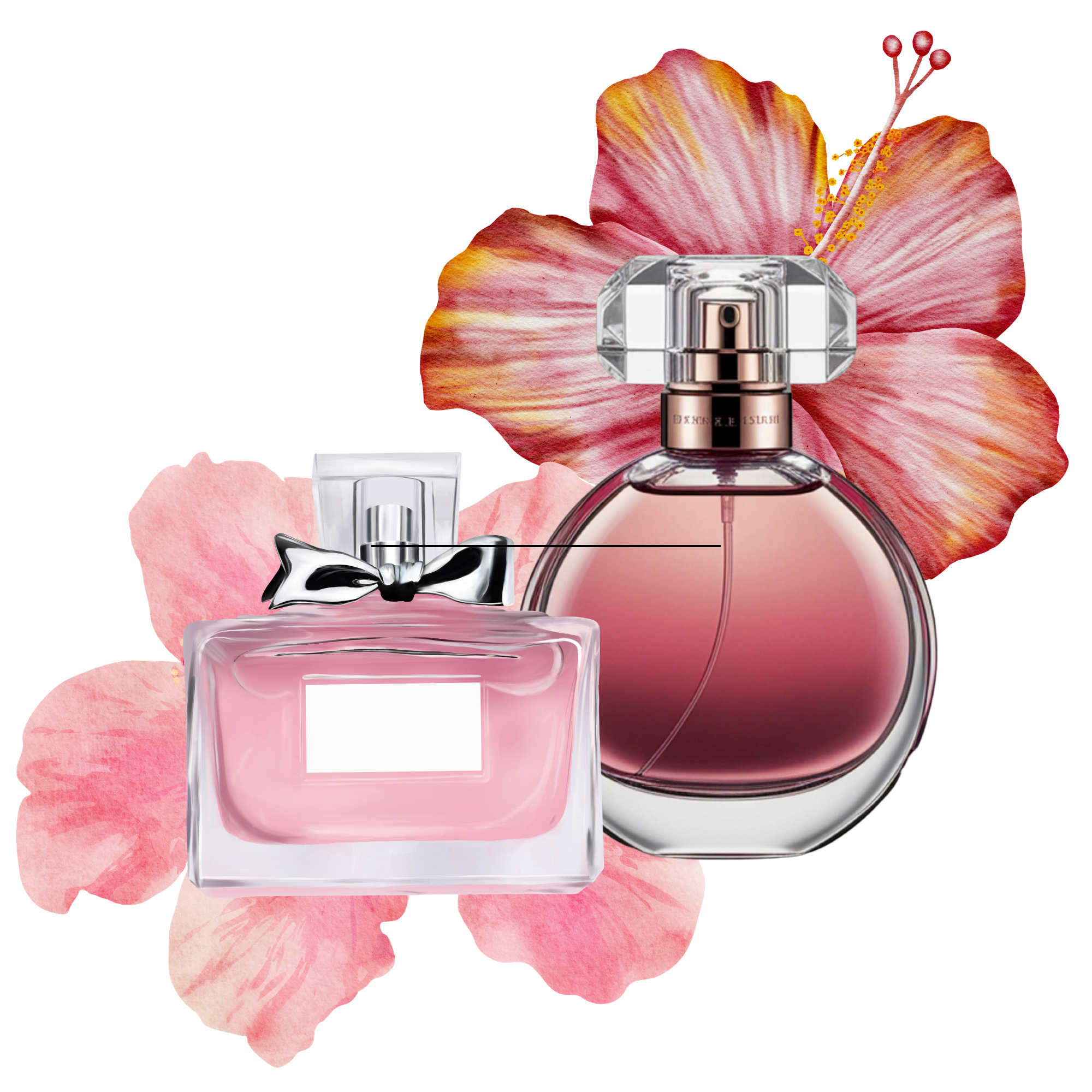 Botol parfum bekas Eau de Parfum dan Eau de Toilette